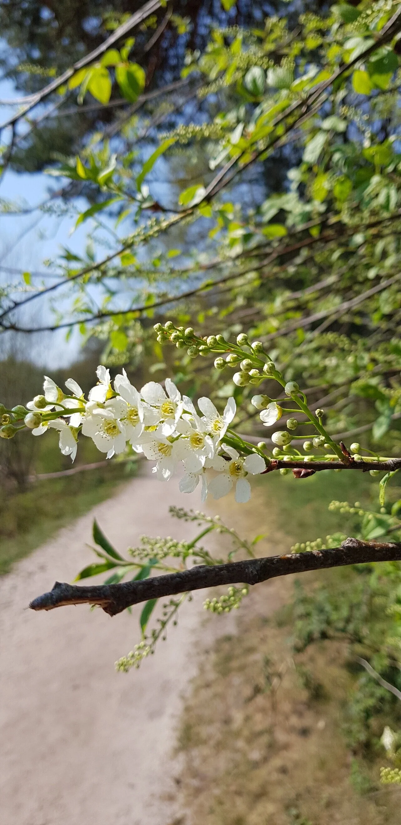 Kurz mal raus zum Osterspaziergang