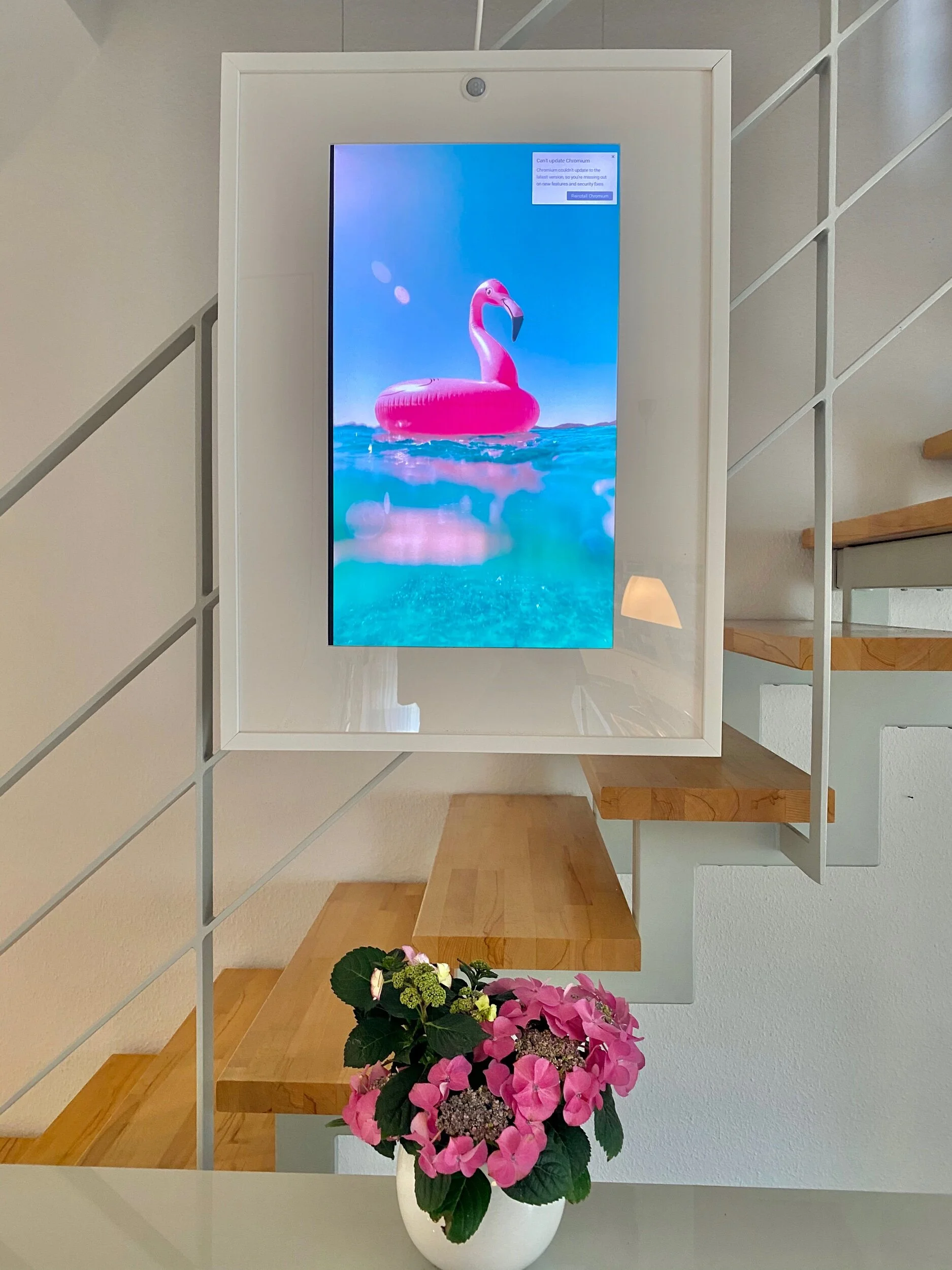 Kurz mal Fotos schauen