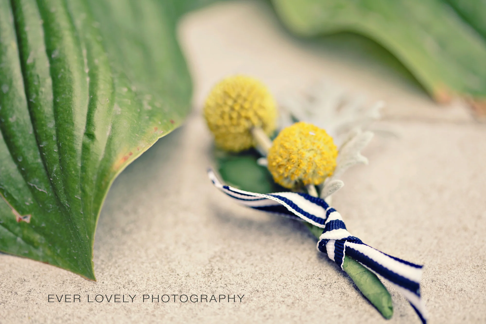 Boutonniere