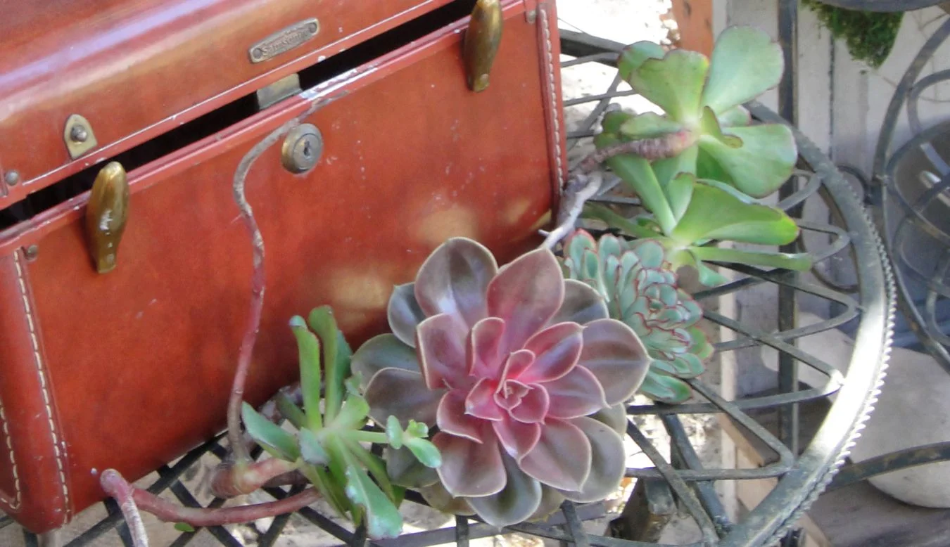 Entry Piece