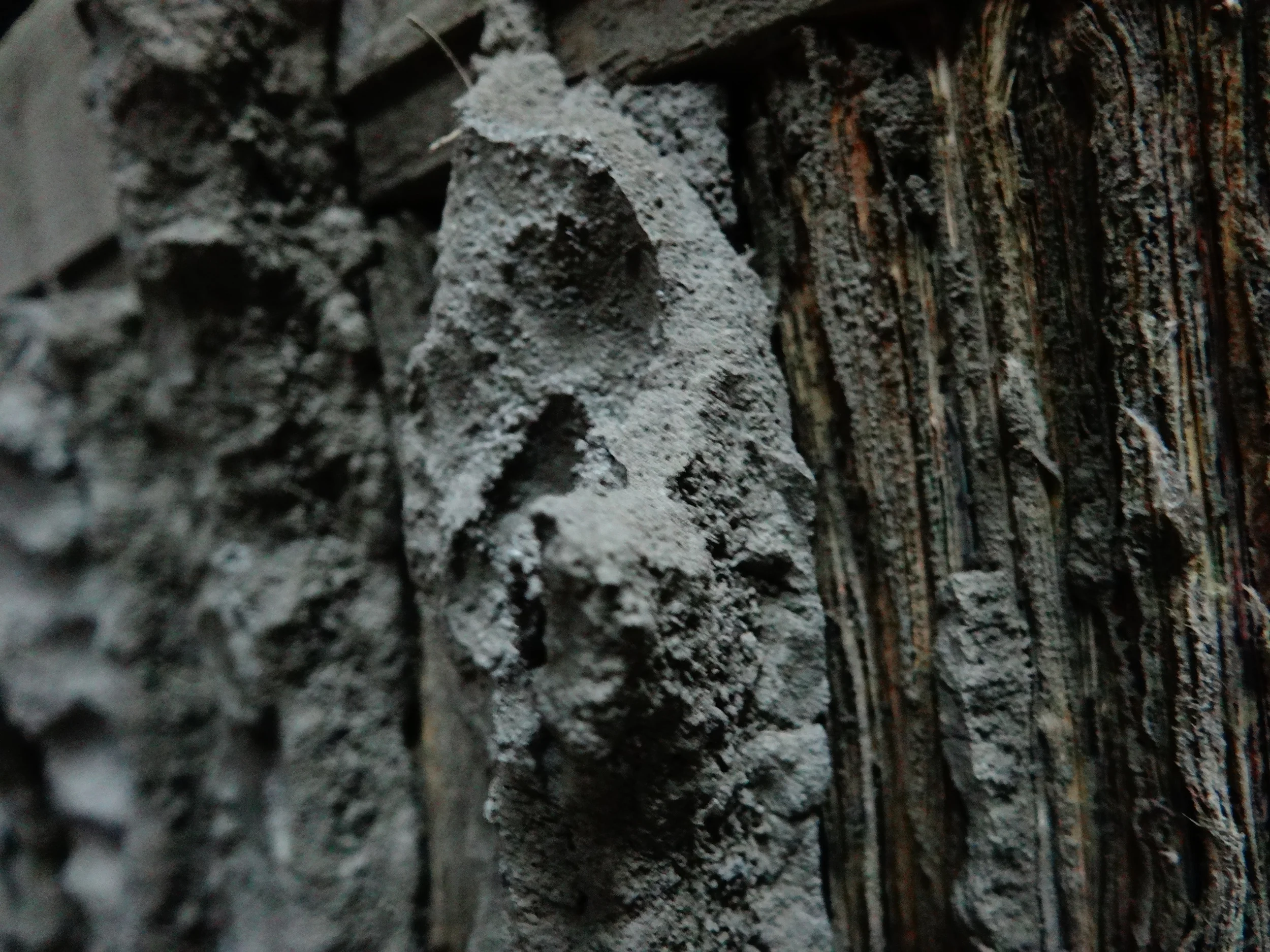  A home to facilitate the healing process for an agoraphobic woman and her twin sister.&nbsp; Her story is told through the creation of an artifact: layers of newspaper clippings represent the memories of a formative past that has been suppressed by 