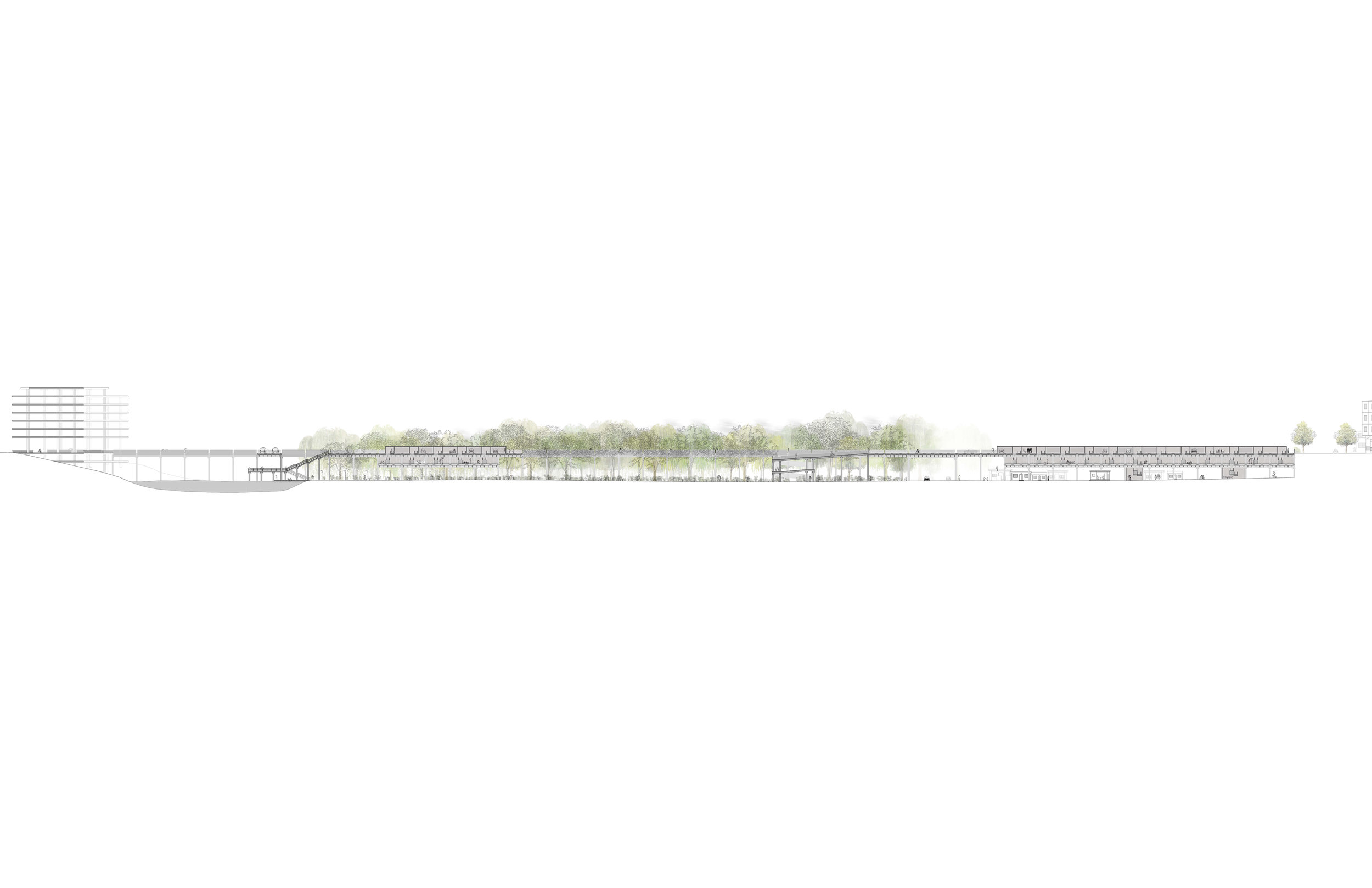 Long section