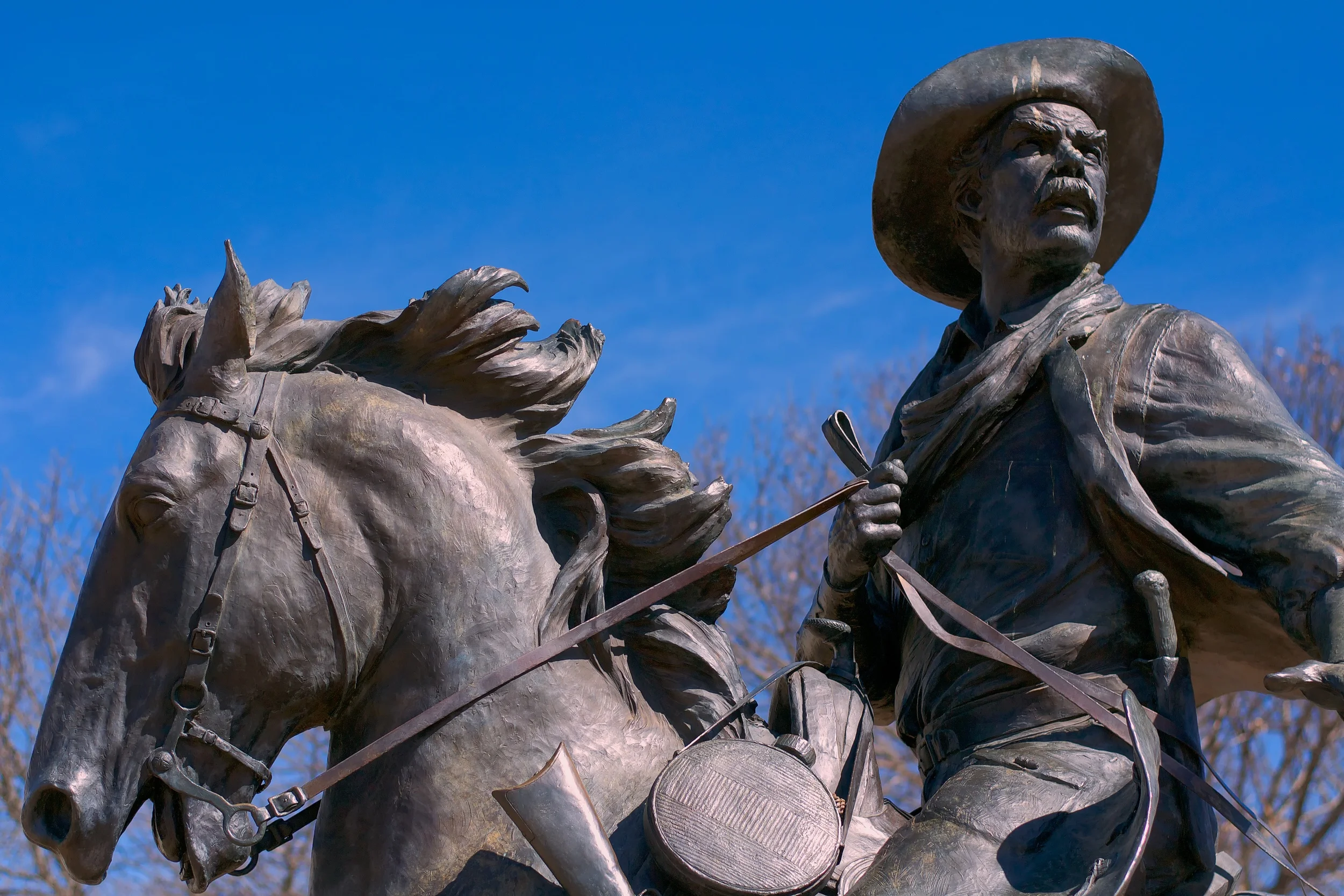 Day 51: Cowboy Up