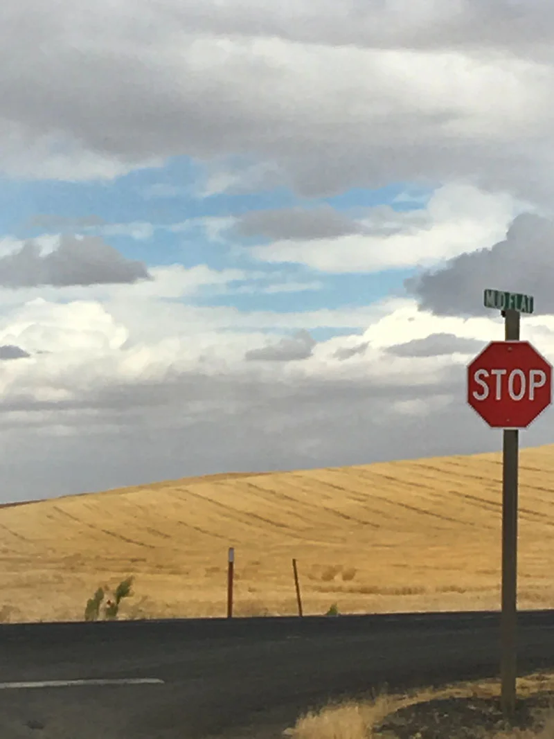 palouse_mudflat.jpg