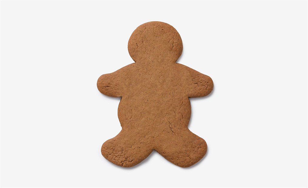 Homepage_2sec_ginger.gif
