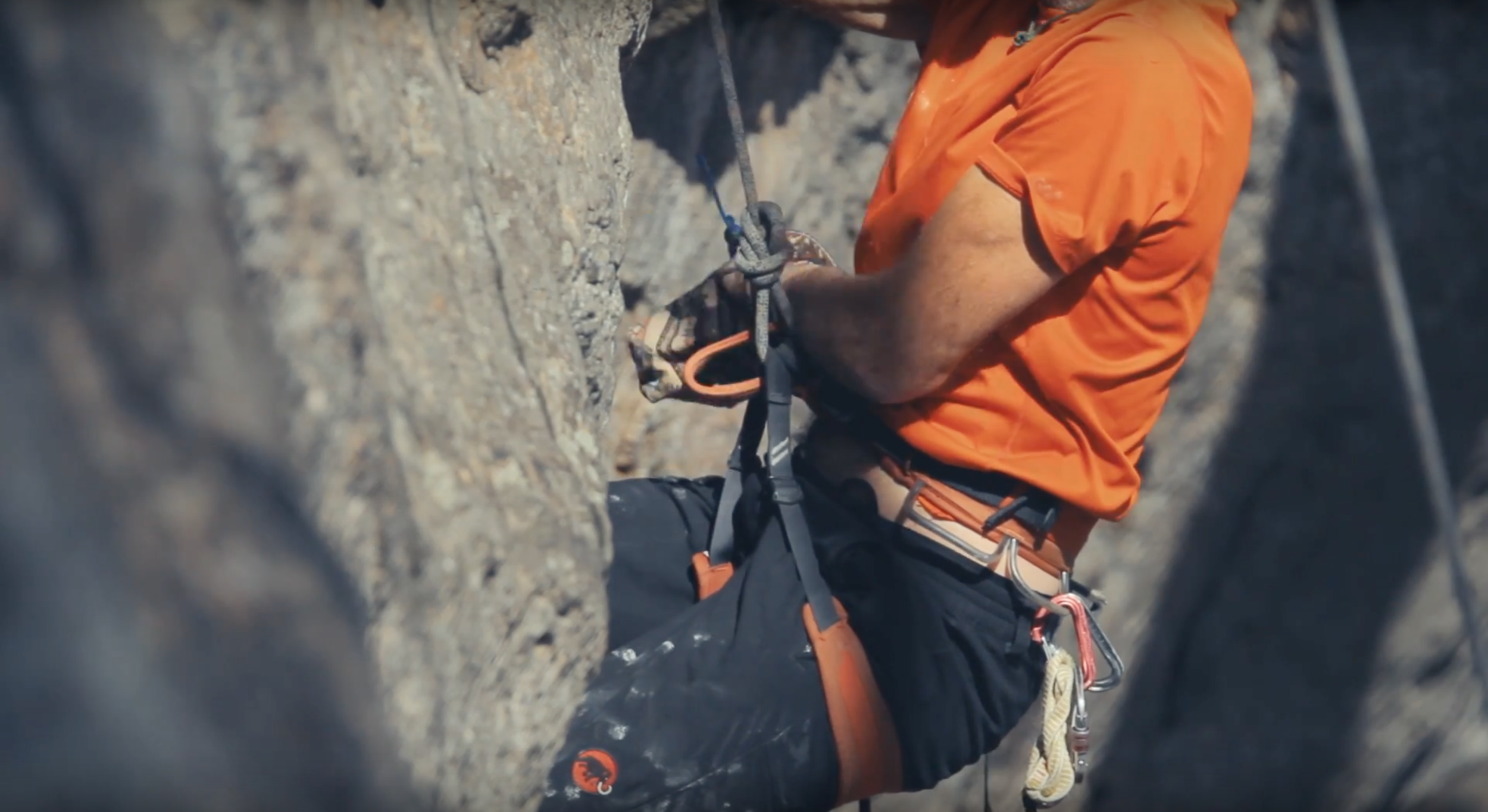 Screen Shot 2017-12-03 at 2.42.36 PM.png