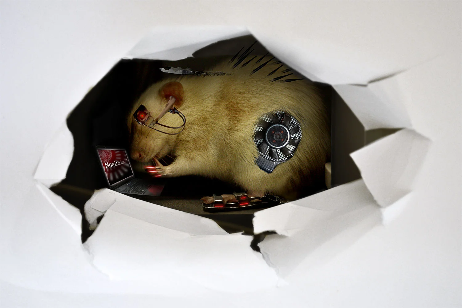 Rat Spy