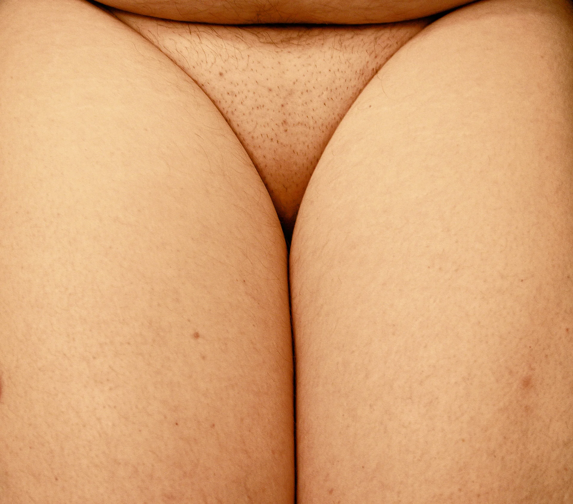 Untitled (After Harry Callahan’s Weed Against Sky)