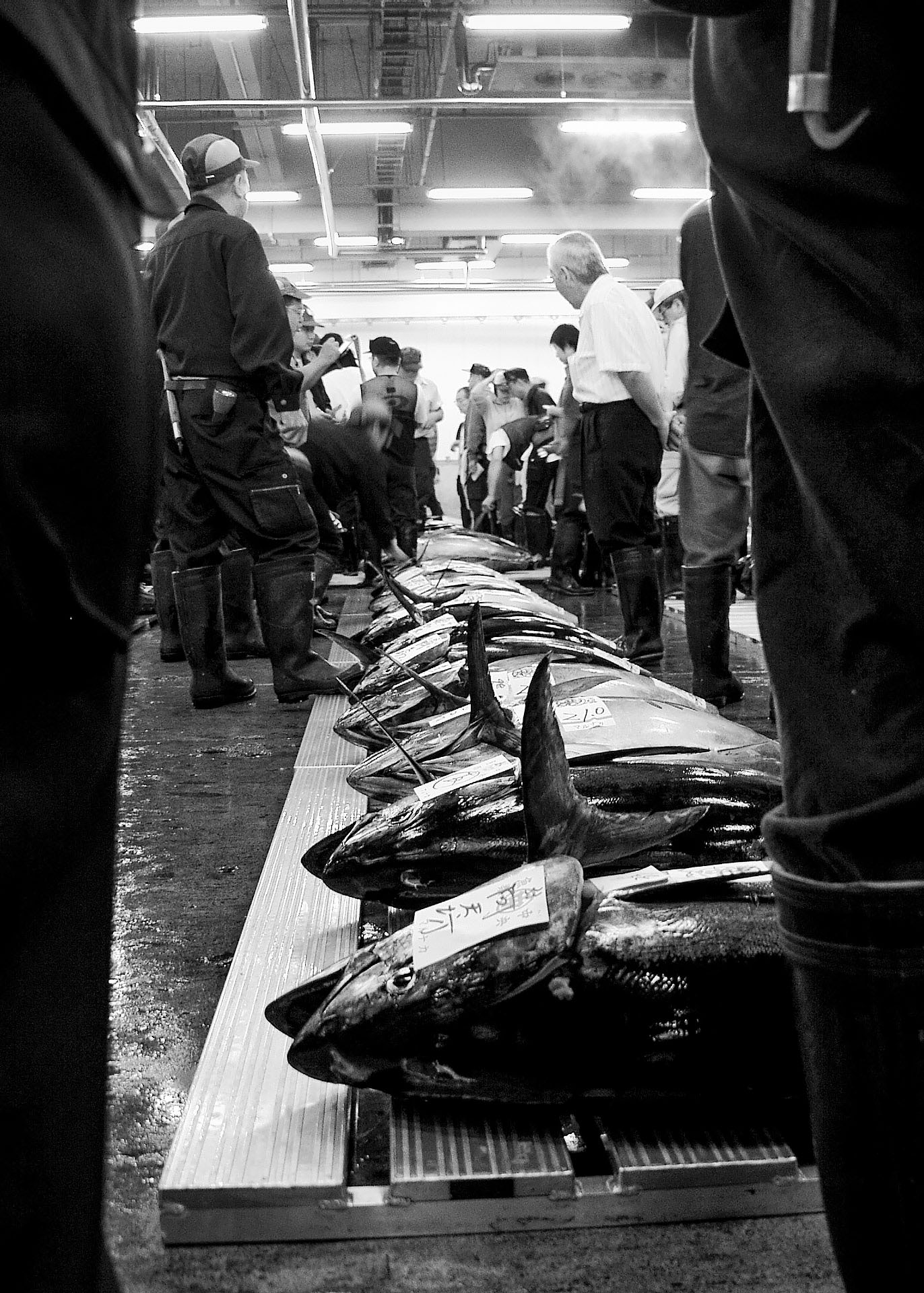 Tsukiji