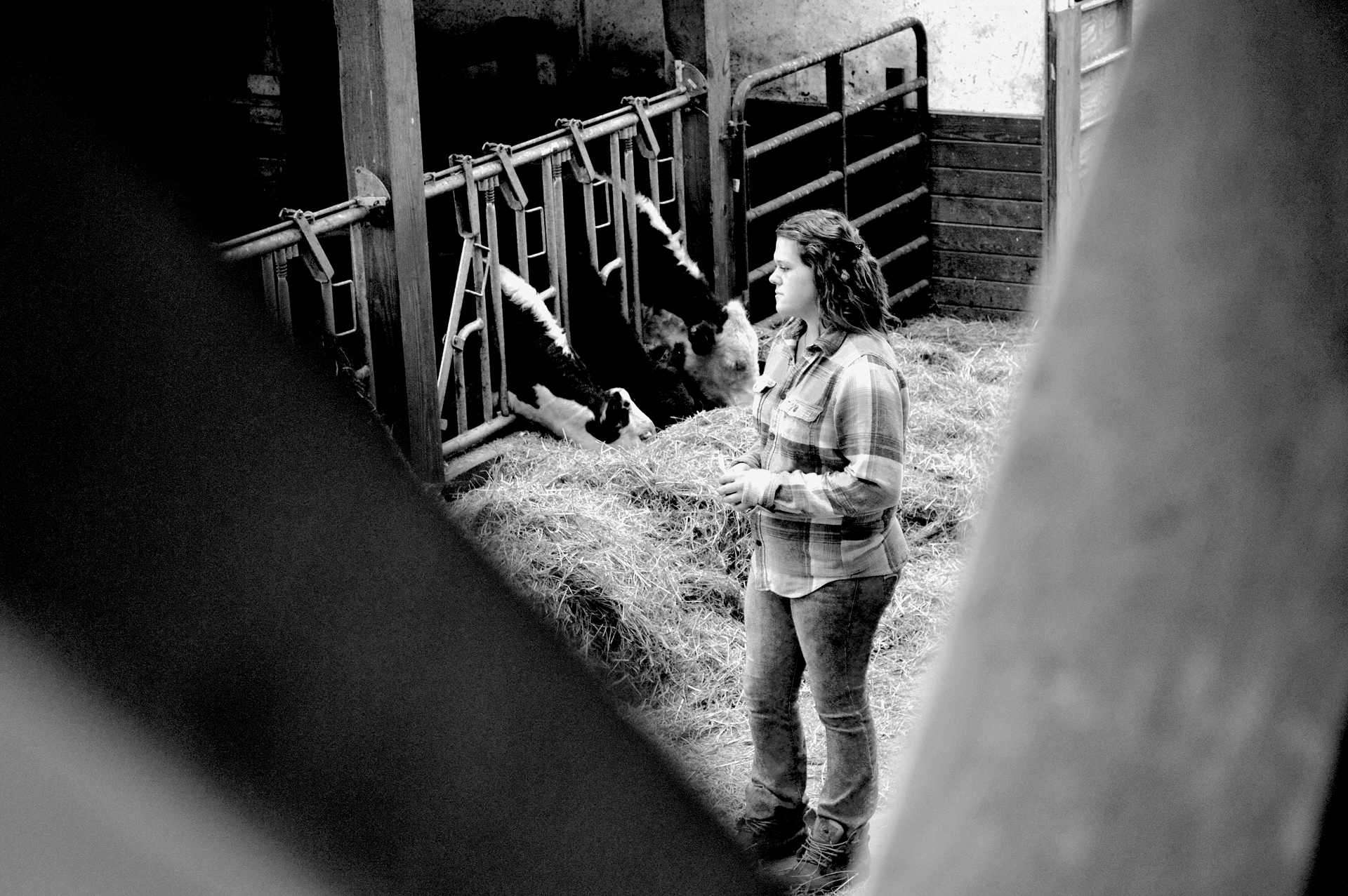 Watching Over Her Cattle