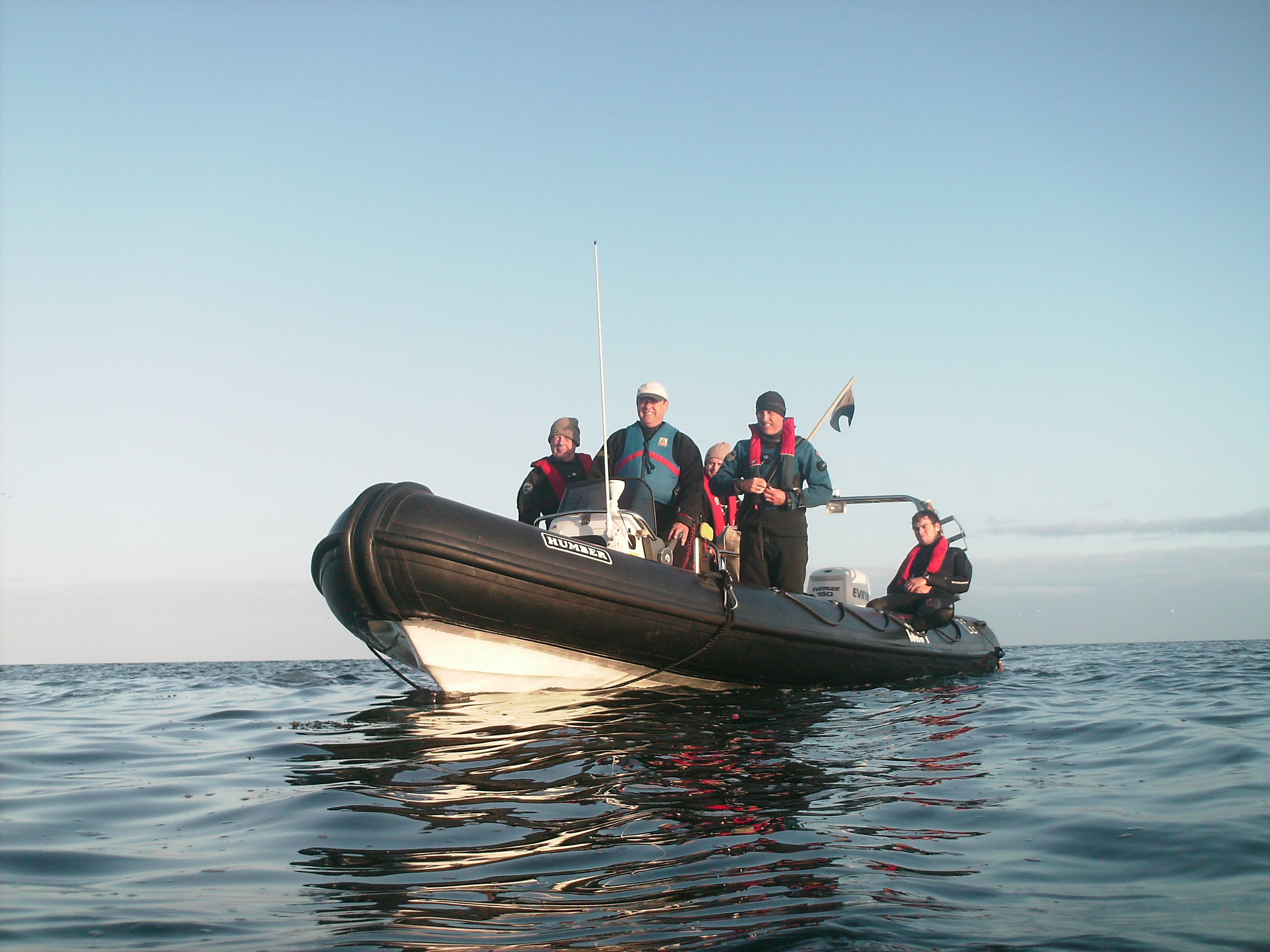 Summer Evening Diving.JPG