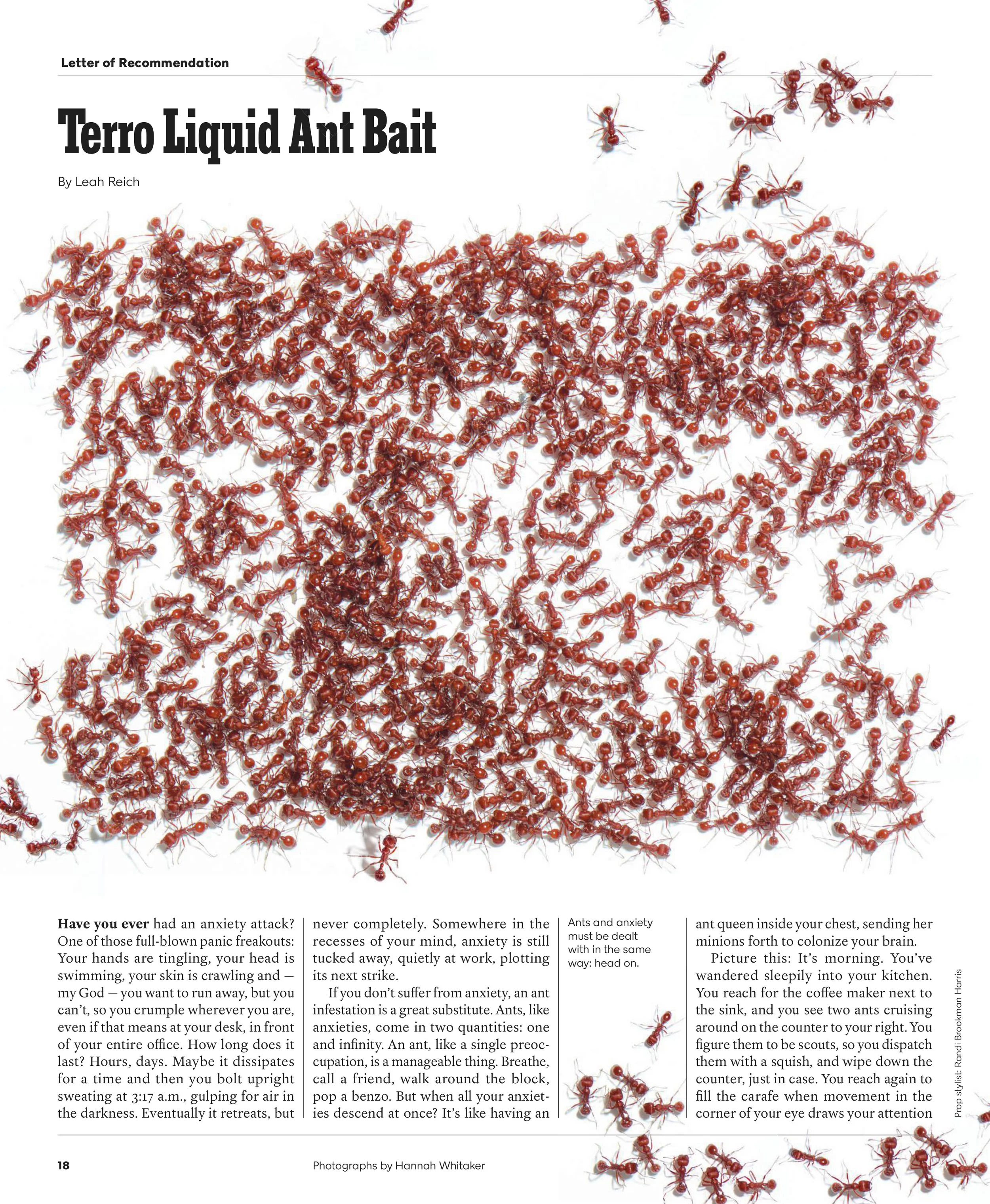 01_03_Mag_LR_Comb_Part18.jpg