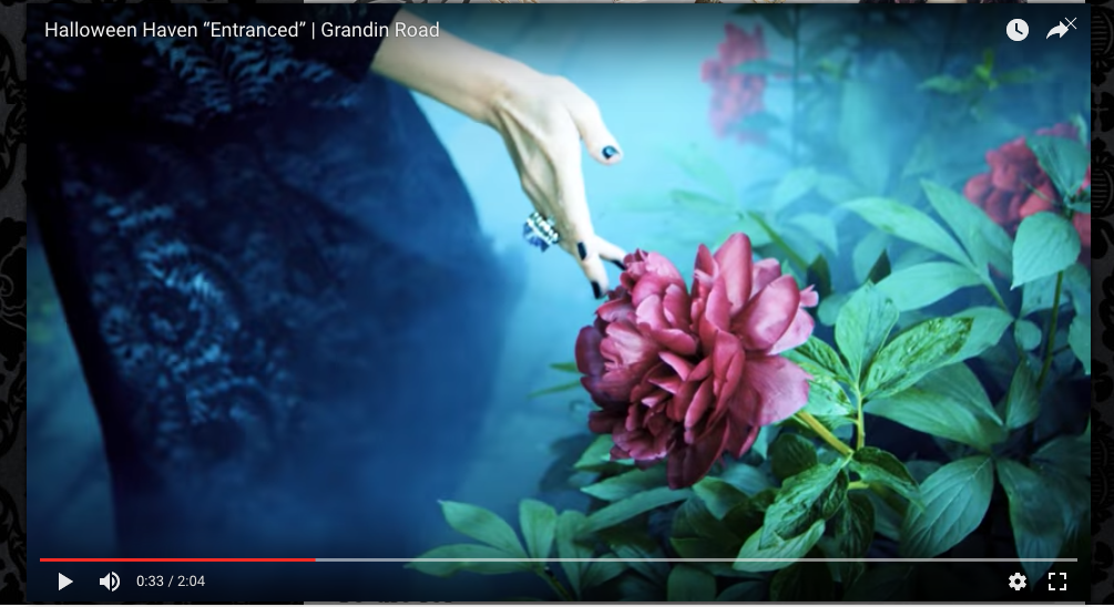 Screen Shot 2016-10-26 at 7.33.56 PM.png