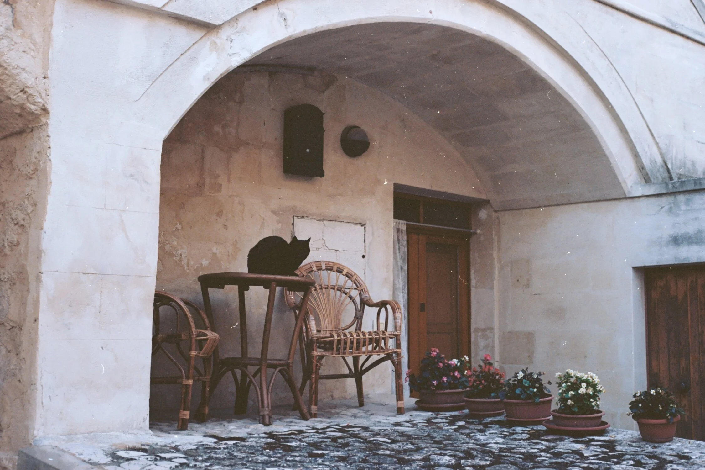 Black Cat.  Matera, 2019.