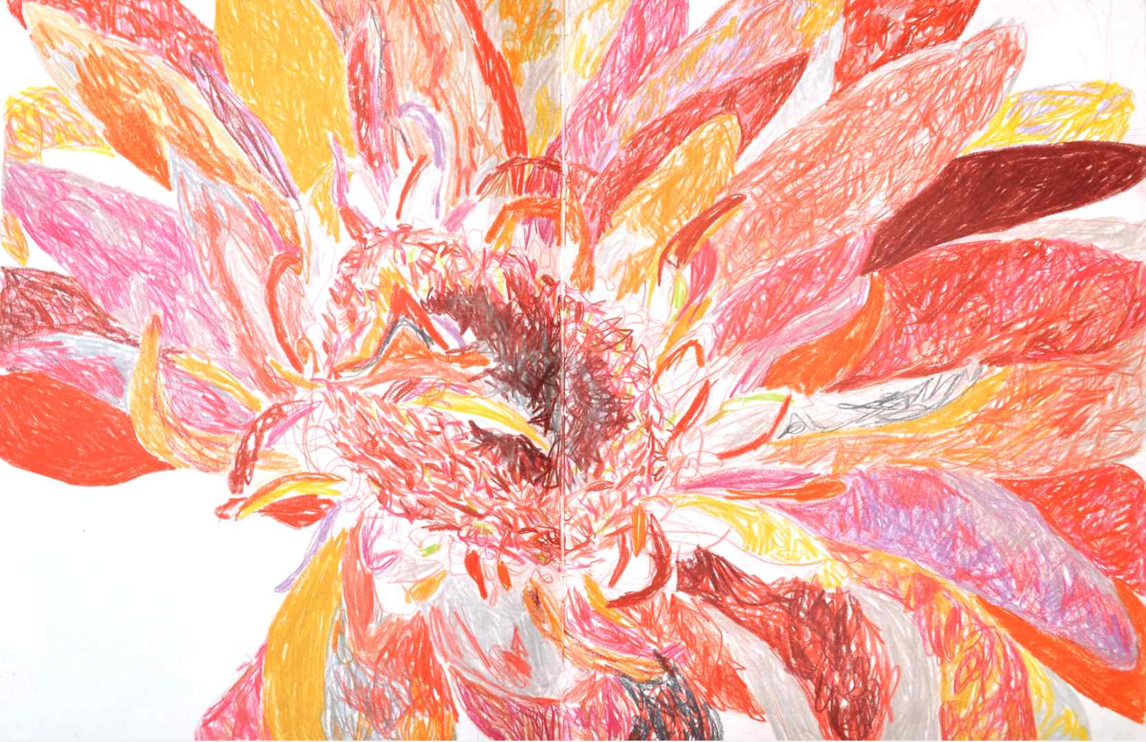 Stamen , 2009 crayons on paper, sketchbook 59,4 x 42 cm