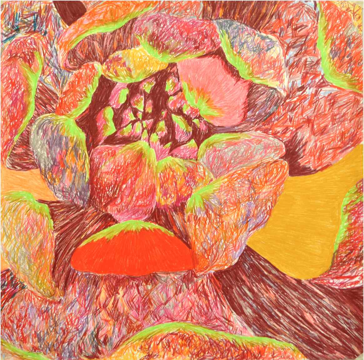 Stamen , 2010 crayons on paper 75 x 75 cm