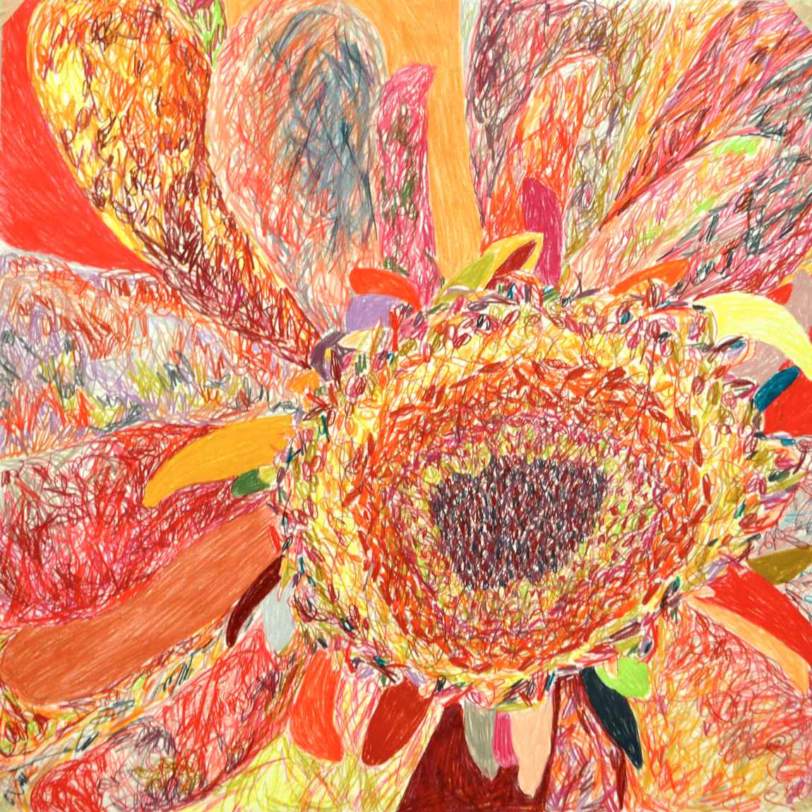 Stamen , 2010 crayons on paper 75 x 75 cm