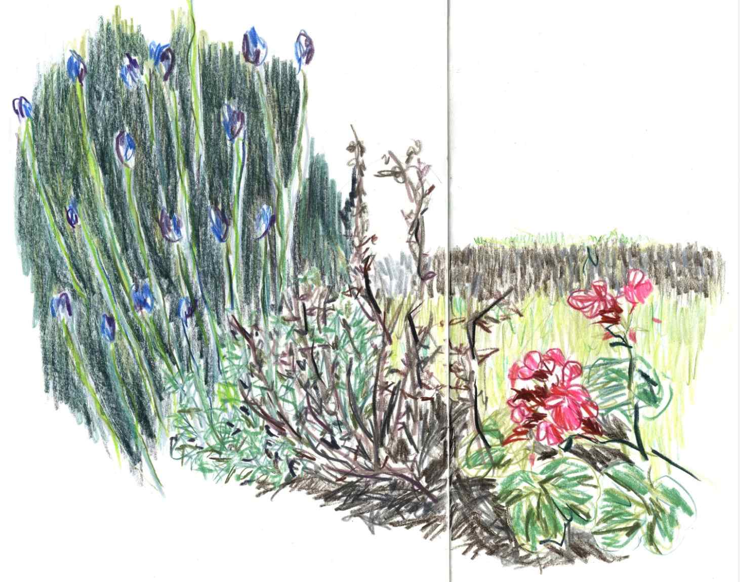 Jardin des Plantes , 2010 crayons on paper, sketchbook 59,4 x 42 cm