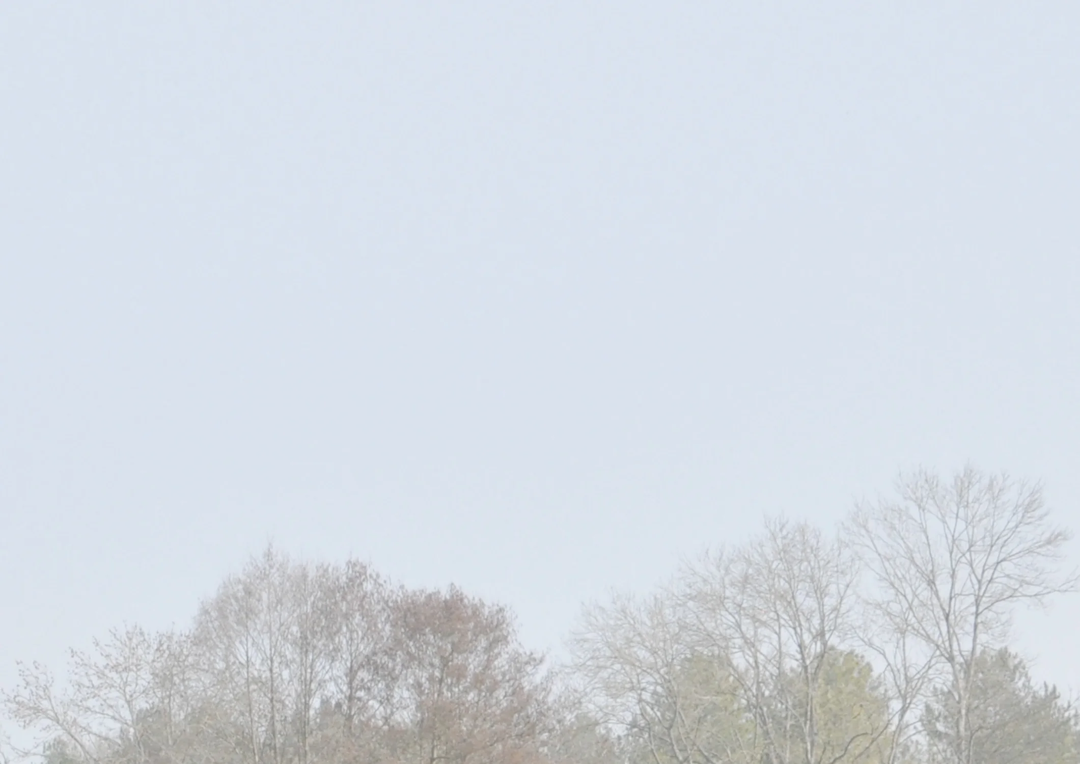 Montchauvet, 2014