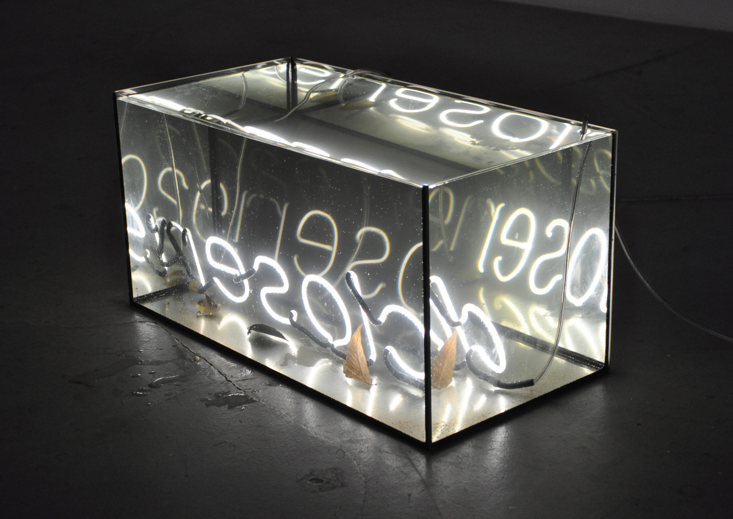   Closer , 2013 underwater neon sculpture, neon, glass, water and leaves from the river Spree 60 x 30 x 30 cm 