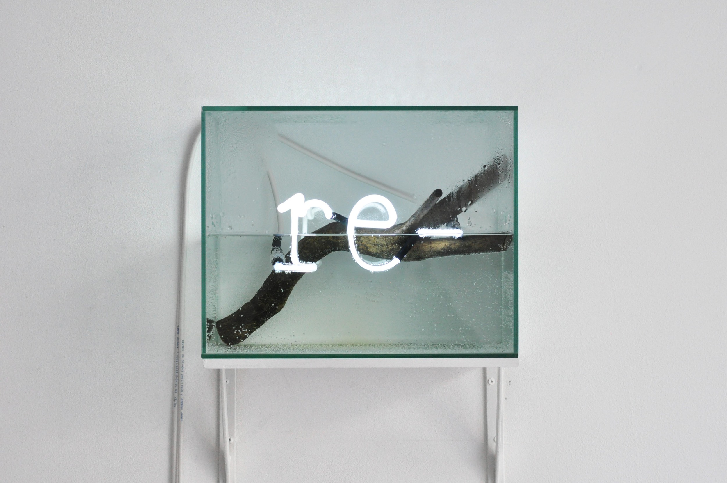  re -,&nbsp; 2015-16 neon, water, glass, wood 34 x 27 x 20 cm 