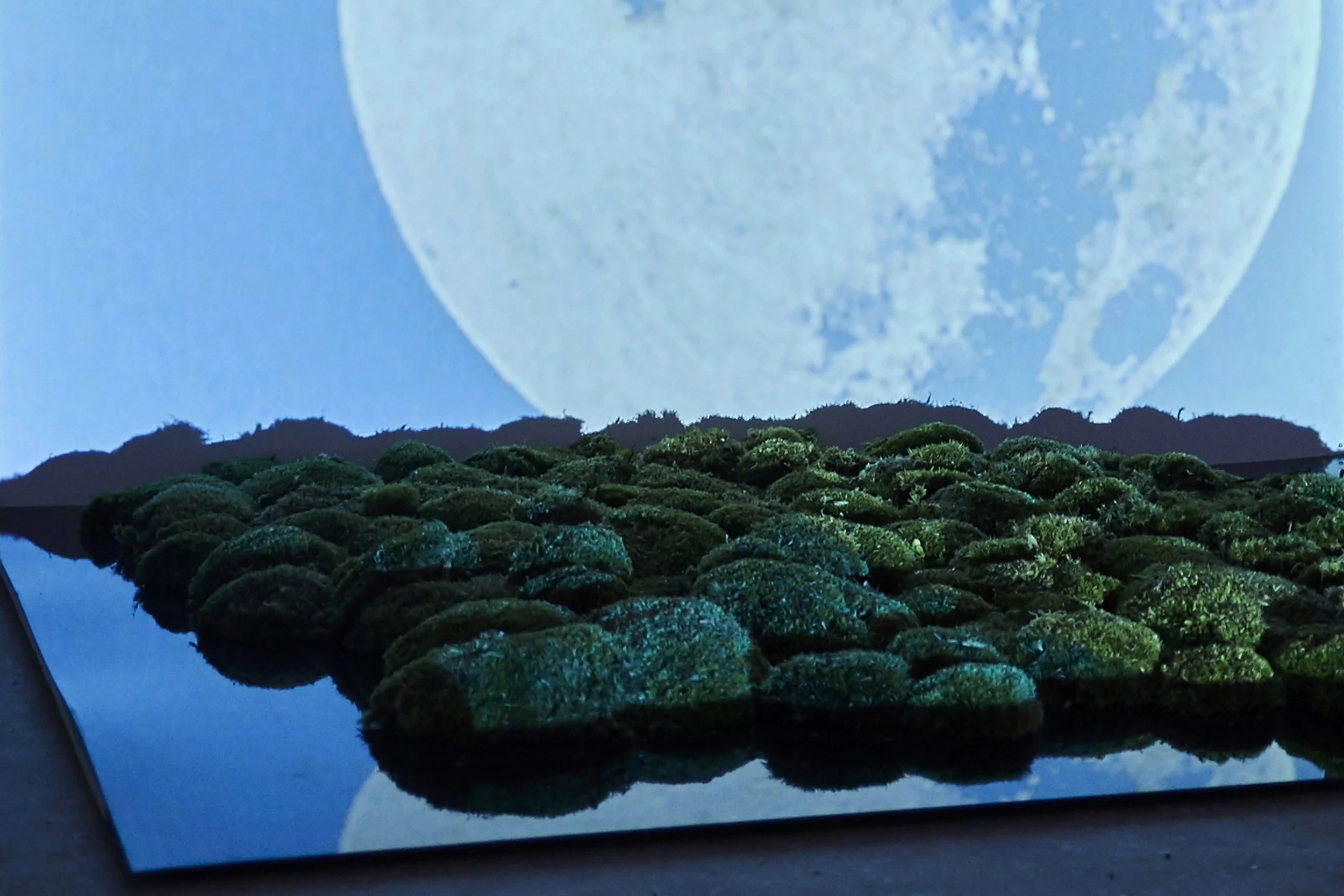 Nouveau Monde II , 2015 video, natural moss, wood, black mirror 120 x 100 x 88 cm photo by Claire Désérable