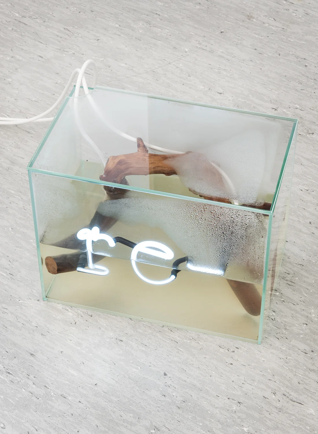 re- , 201 5-1 6 neon, Main water, glass, wood 34 x 27 x 20 cm installation view, -46,08° , fff riedrich, Frankfurt am Main, Germany, 2018 © Robert Schittko
