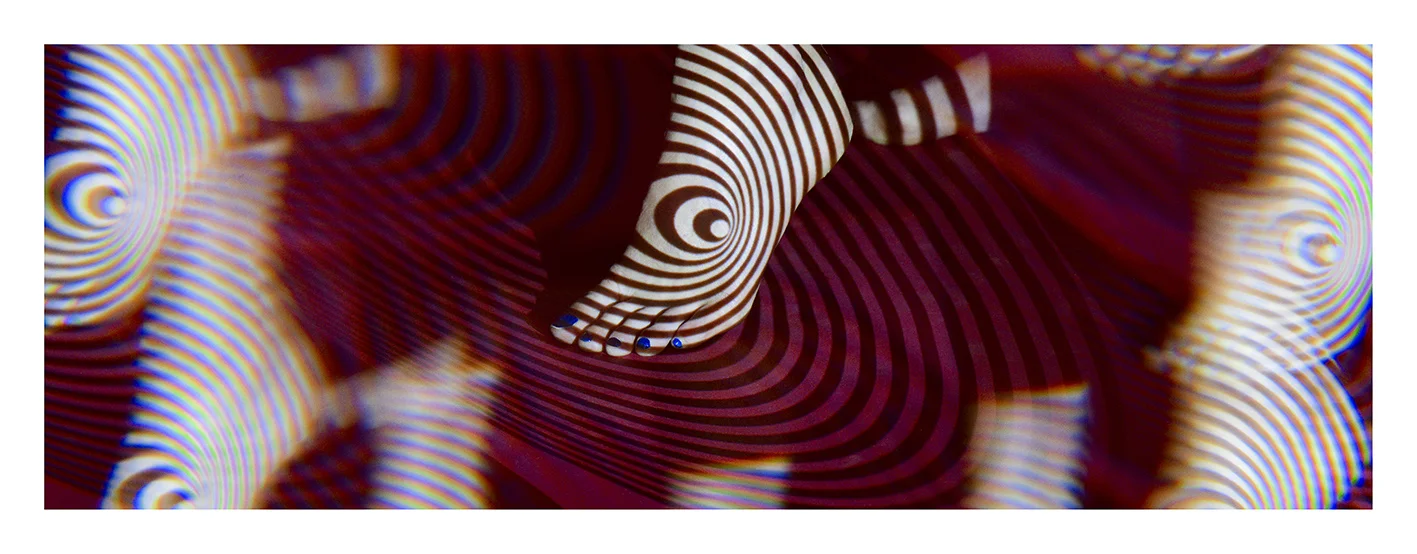 Frank Perrin, Panoramic Obsessions (Foot) (2018)