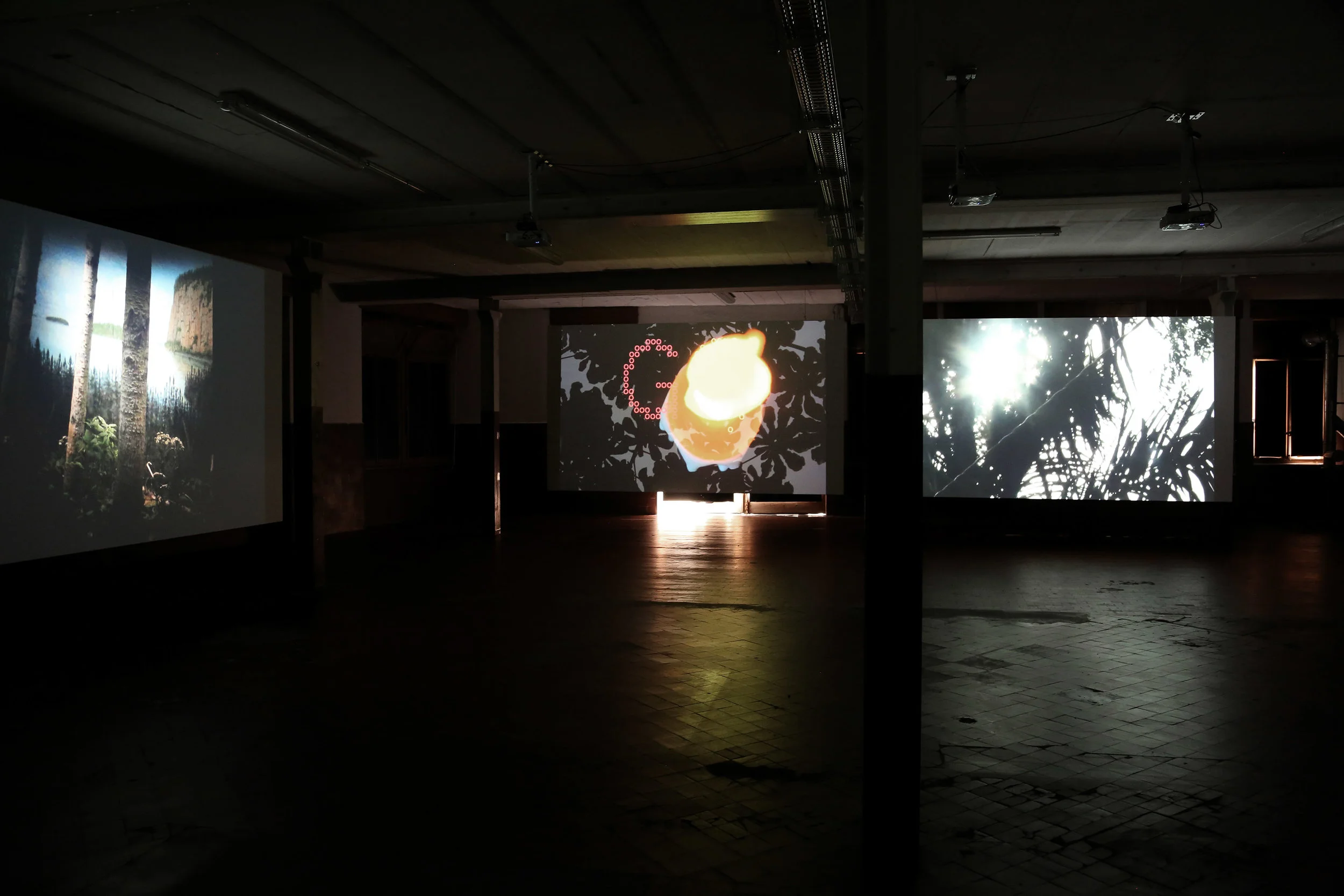 Parades , 2019 video, loop 16 min installation view, Eco Shifters , Fondazione La Fabbrica del Cioccolato, Torre, Switzerland, 2019