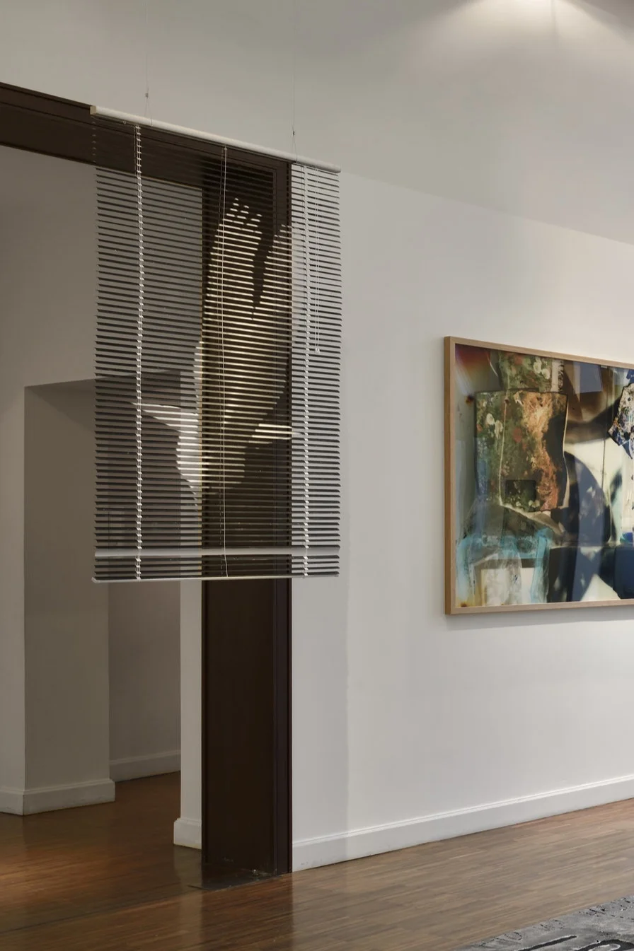 Phœnix, vinyl blind, c-print, 2016 installation view, Une inconnue d'avance , 2016 © Rebecca Fanuele