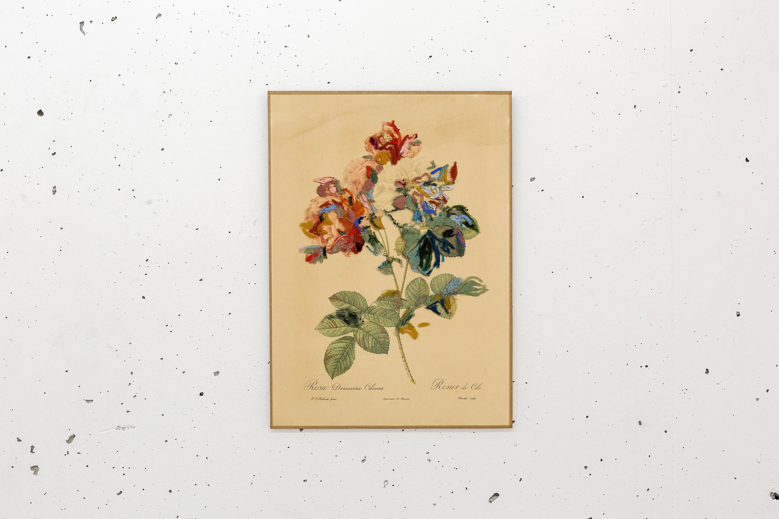 Rosae , 2017 from the set of 3 ‘ Rosa, Rosam, Rosae’ after Pierre-Joseph Redouté oil on glass, print 40,5 x 29 cm © Romain Darnaud private collection