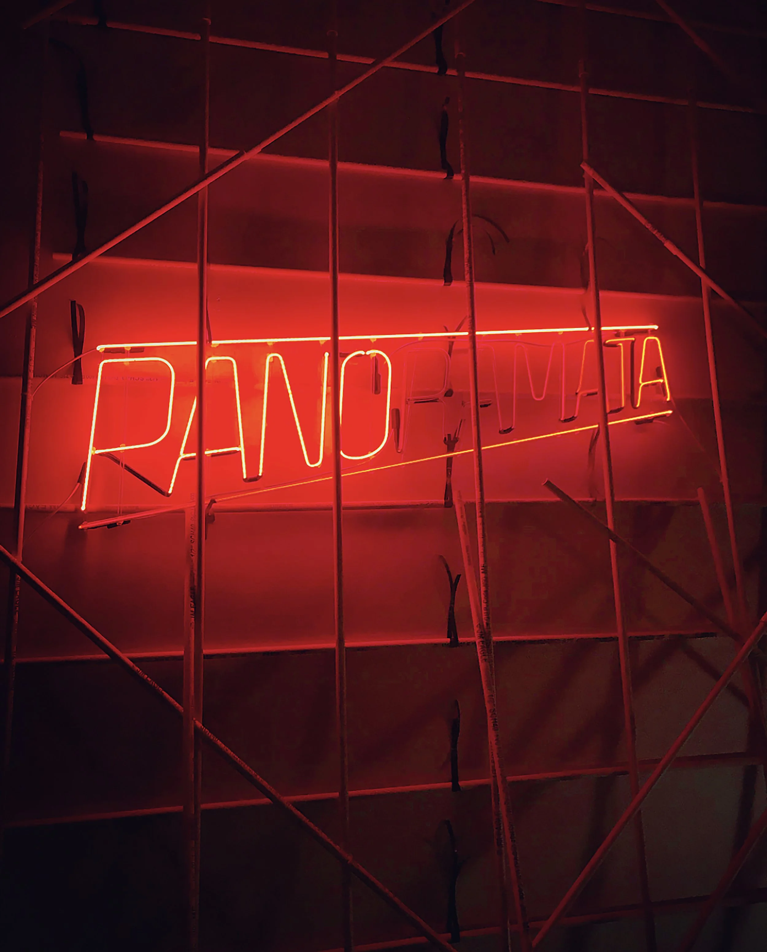 PANORAMATA, 2019 neon, PVC tubes, cords, ties dimensions variable approx.: 450 x 600 x 80 cm approx.: 170 x 235 x 32 inches