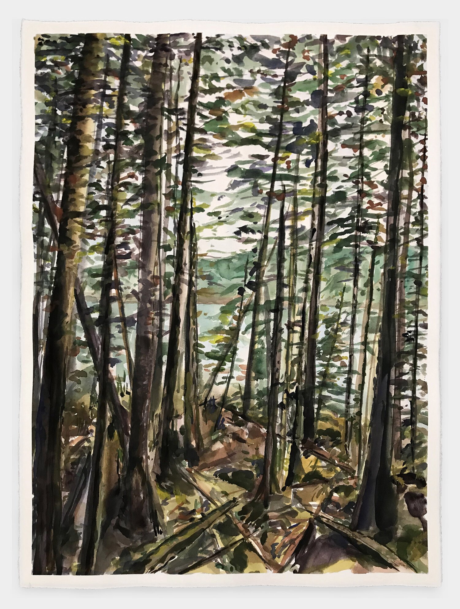   Maine series V , 2020  watercolour on paper  30 x 22 inches | 76 x 56 cm  
