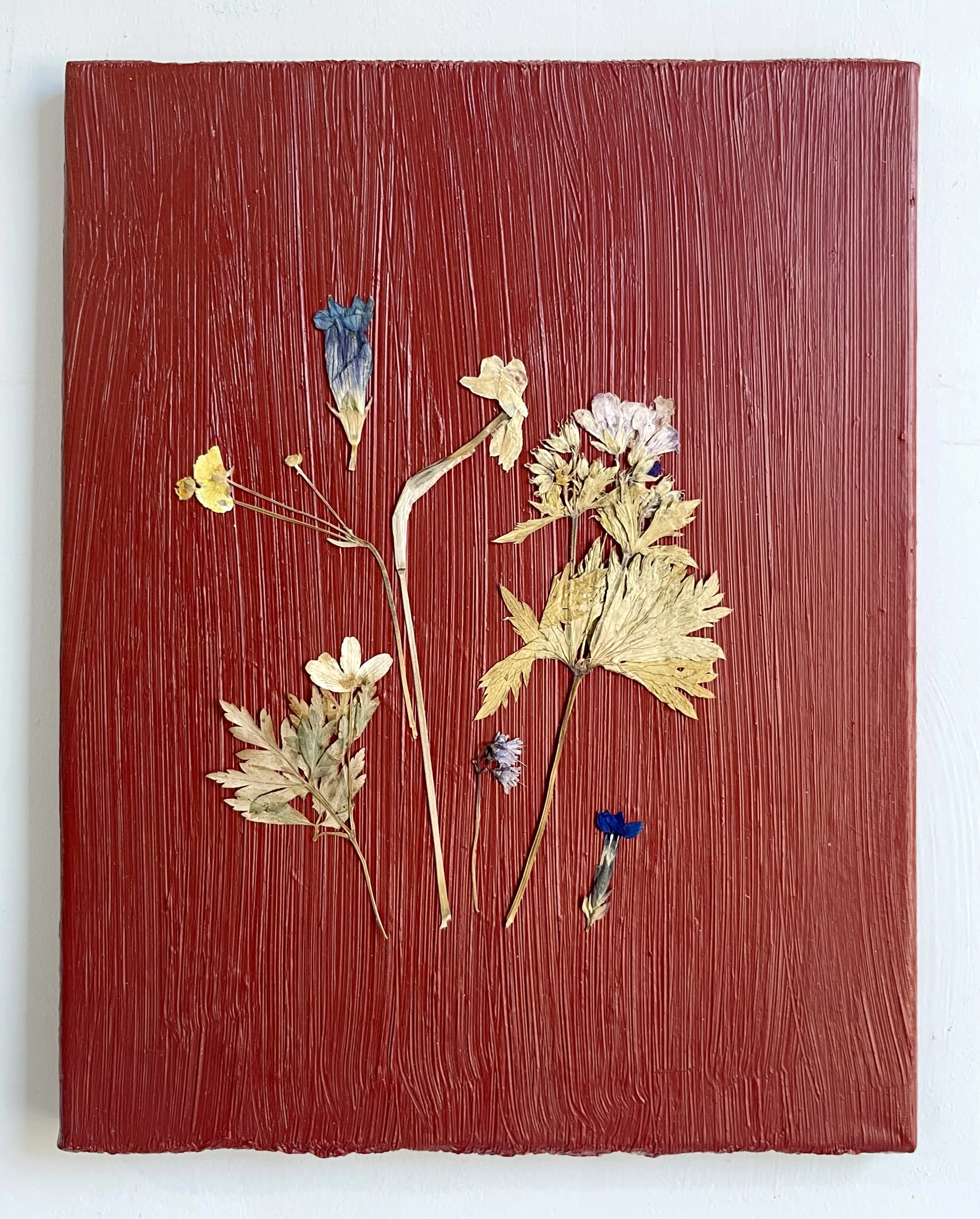 Alpine Flowers I, 2024