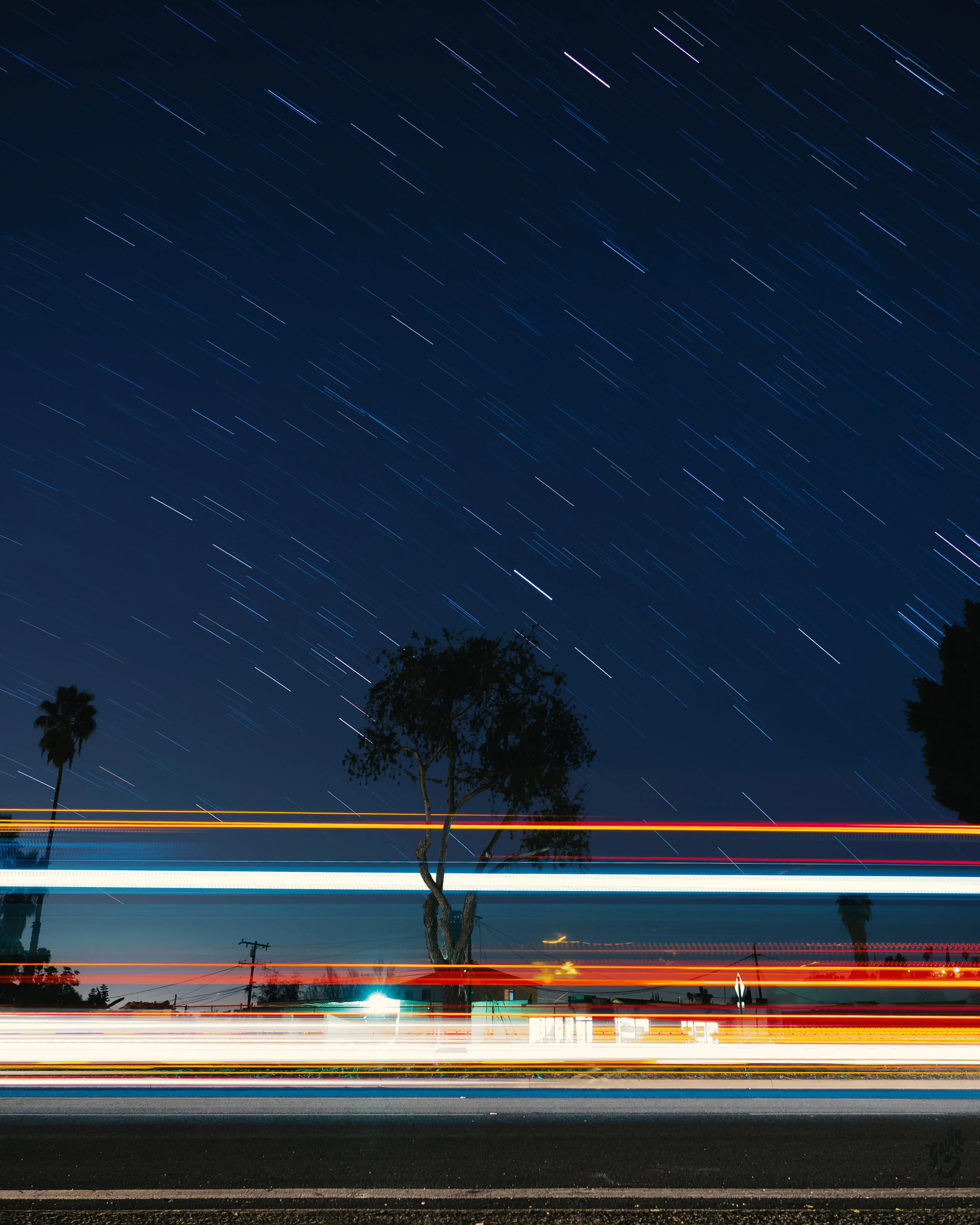 Stars and Tree Light Trail.jpg