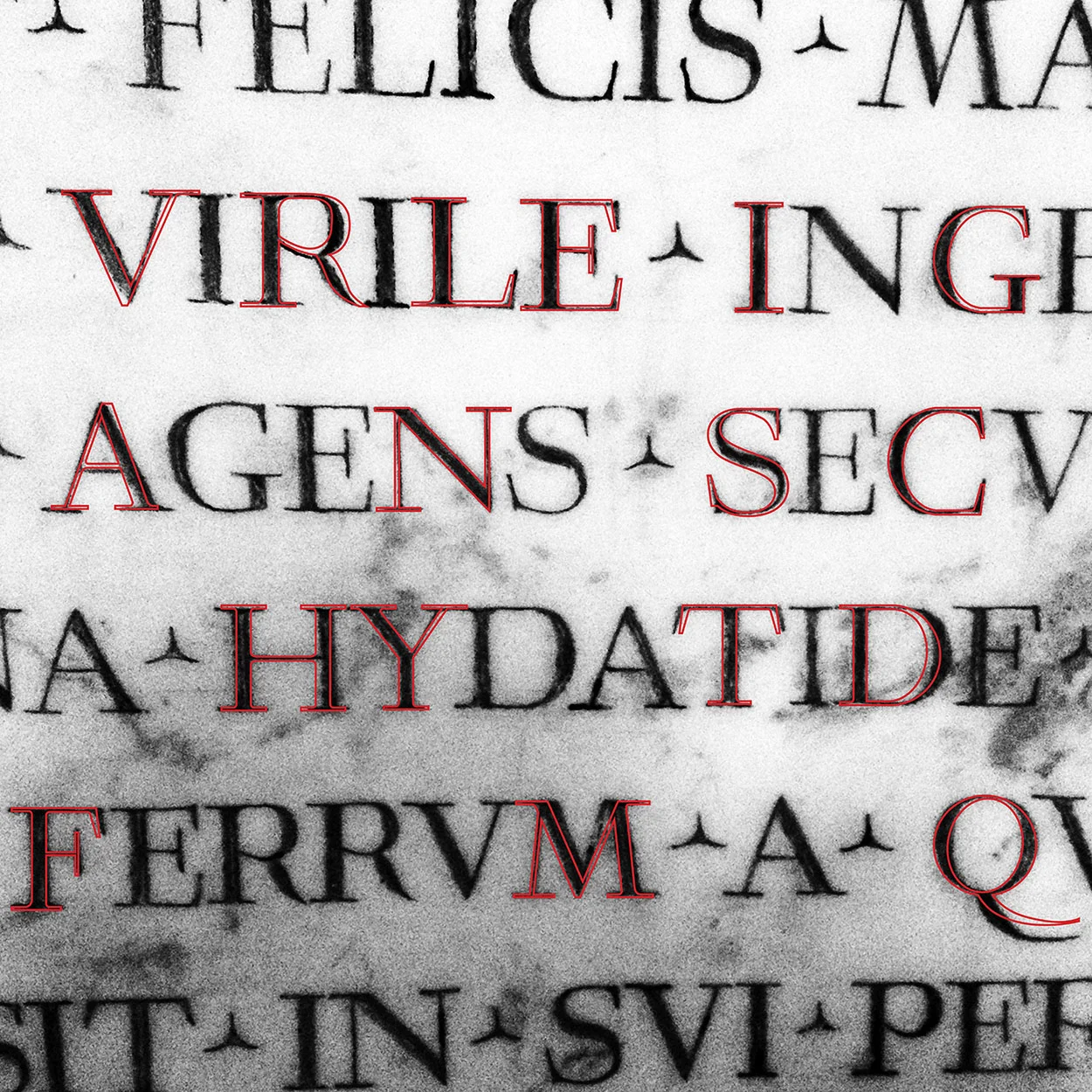 web_Process-Red-Letters.jpg