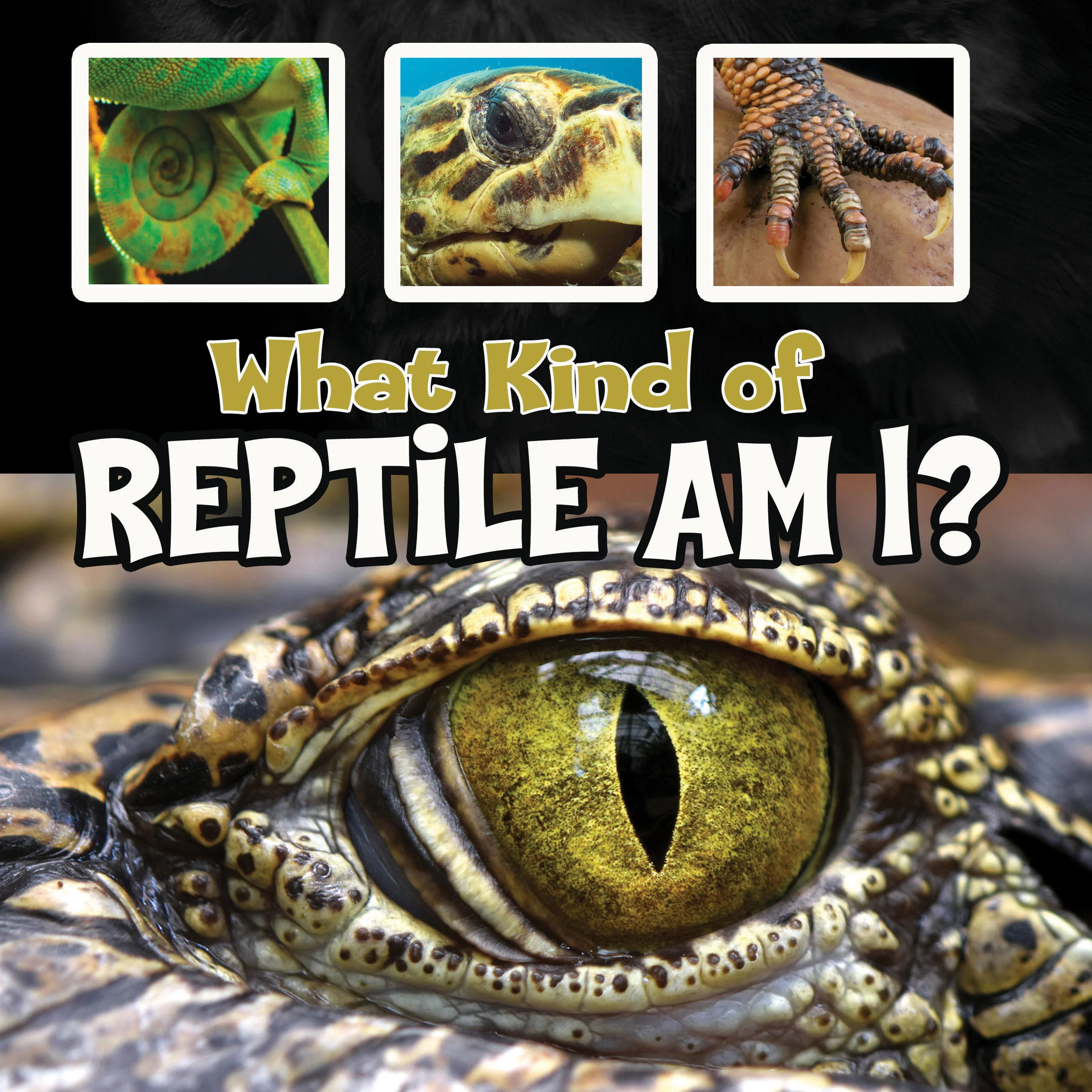 What Kind of Reptile cover.jpg