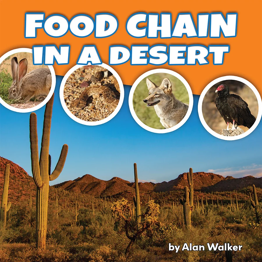 Food Chain in a Desert.jpg