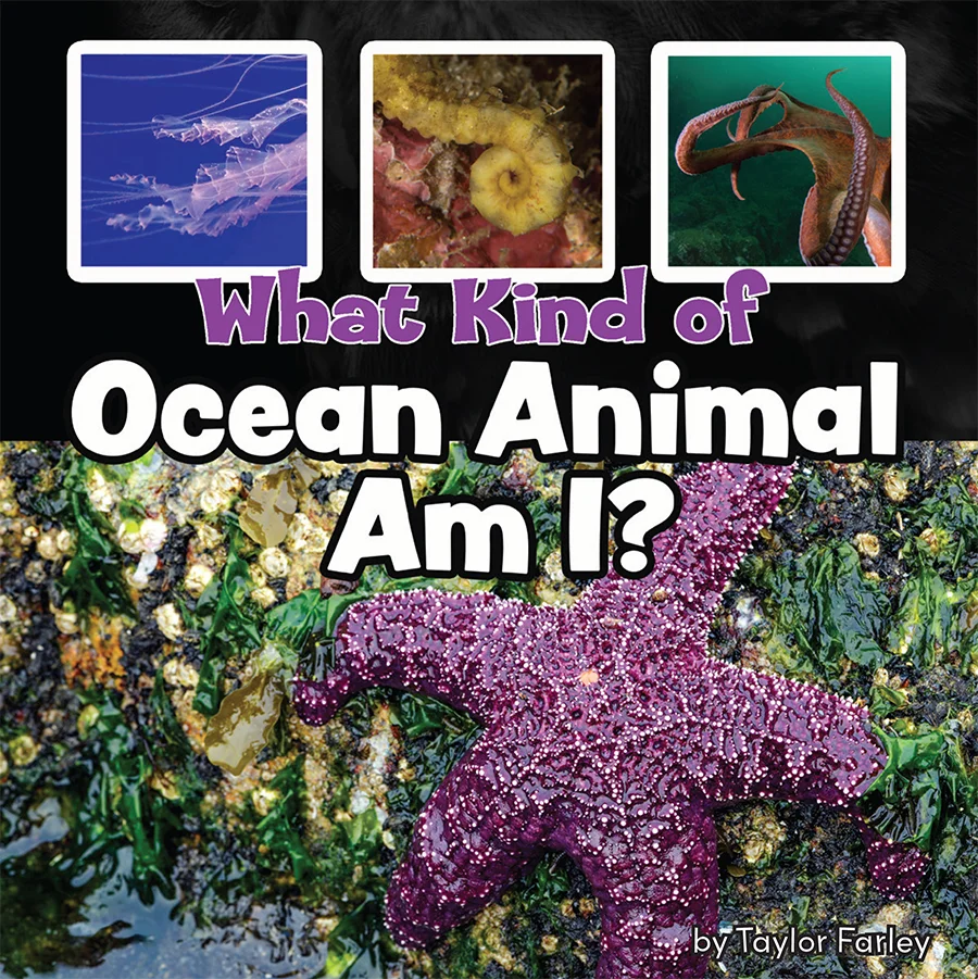 What Kind of Ocean Animal Am I?.jpg