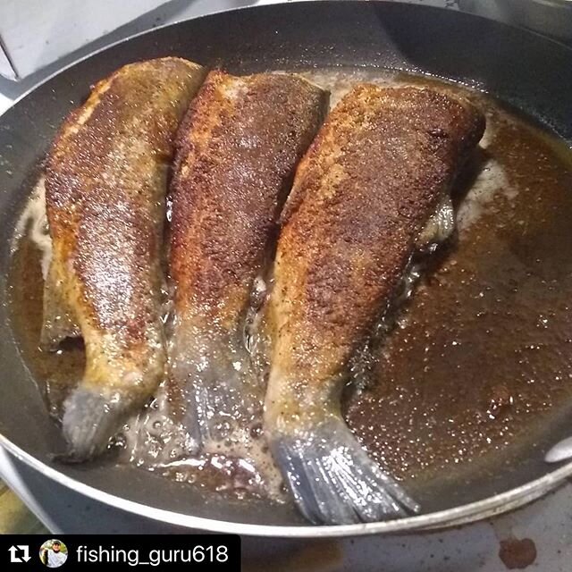 Looks great! There&rsquo;s nothing better than being able to catch your own dinner!  #Repost @fishing_guru618 with @make_repost
・・・
Fresh trout !!! Thanks @frankslivebait #dinnertime #dinnerdate #besttackleshop #needsshirts #supportsmallbusiness #sup