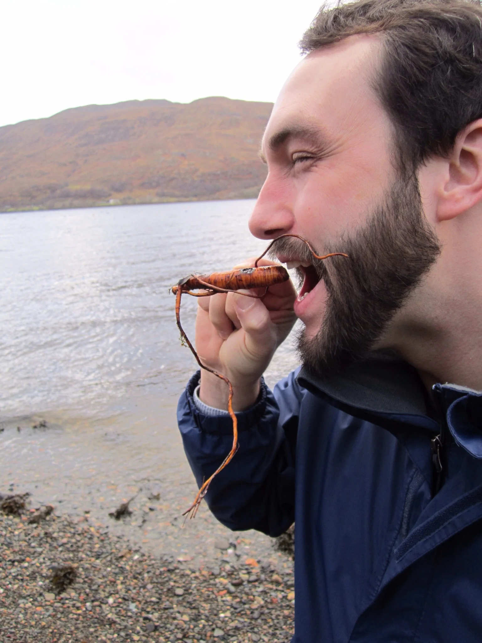 Sea carrot!