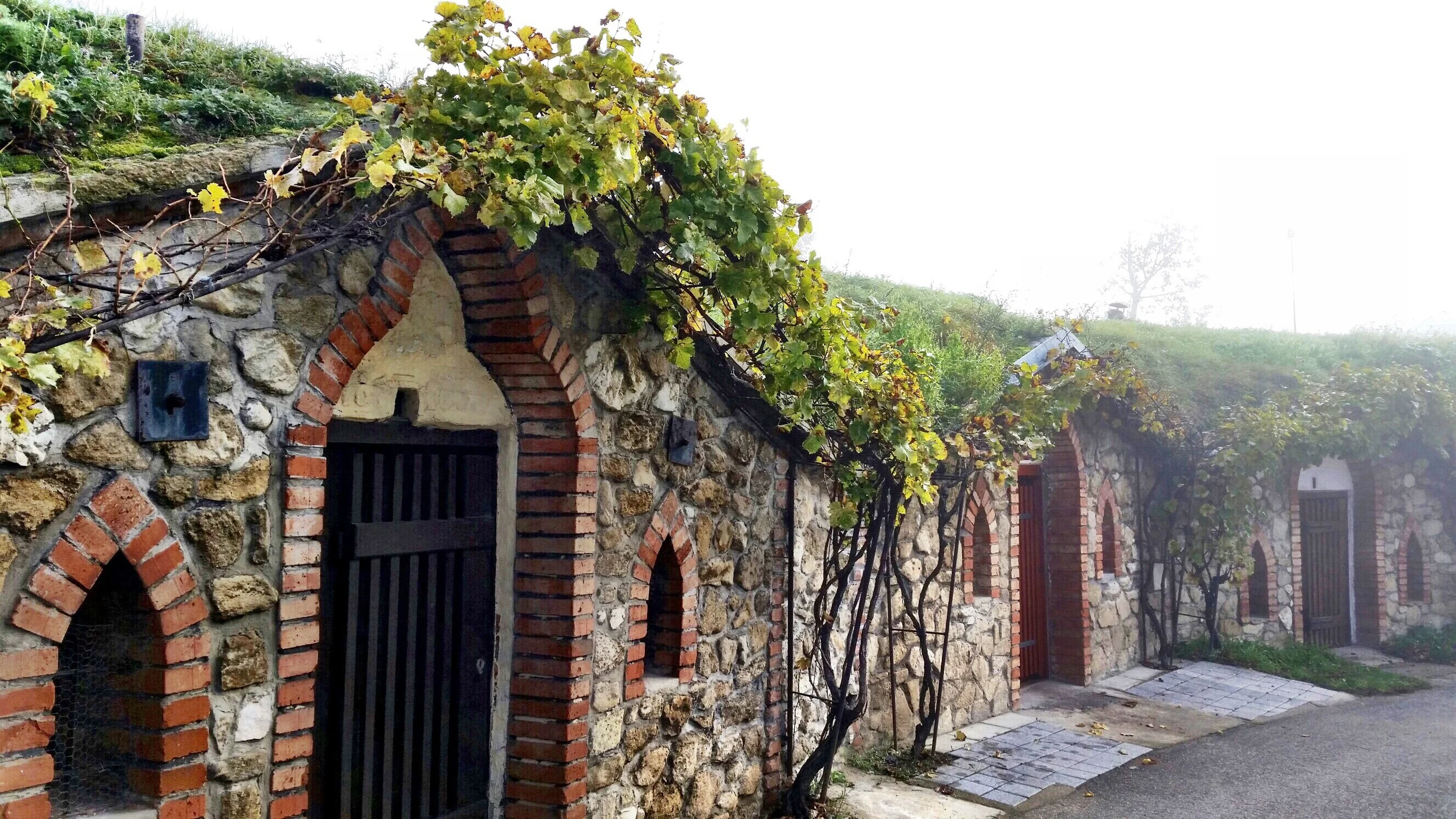 Exterior view of Richard's cellar 