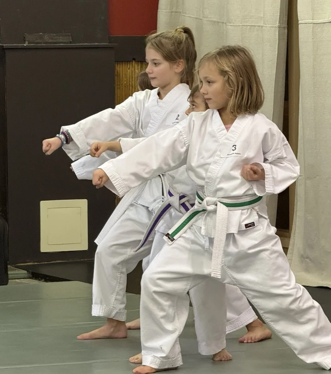 Introductory Special