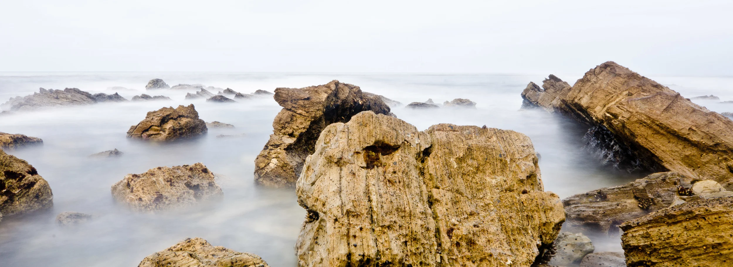 DSC_8595.jpg