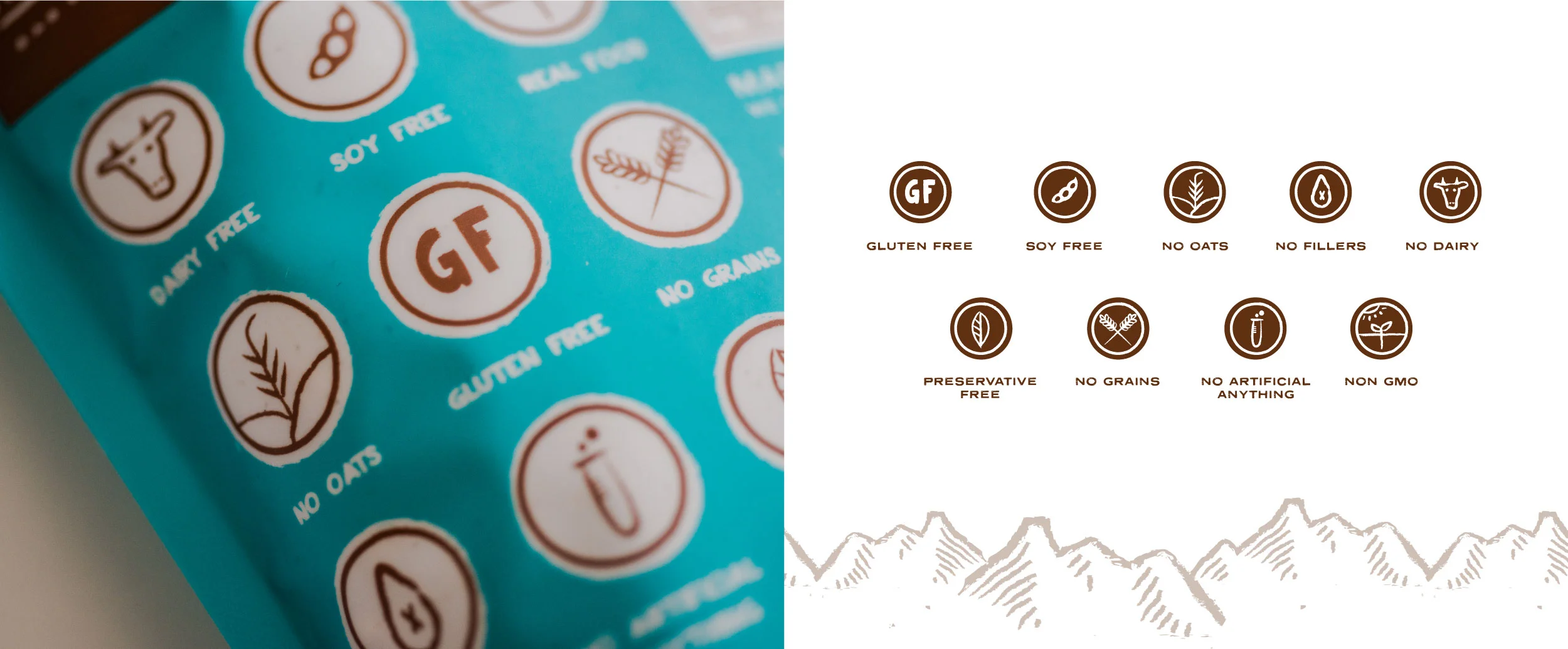 paleonola-design-ktom-creative-graphic-design-icons-austin.jpg