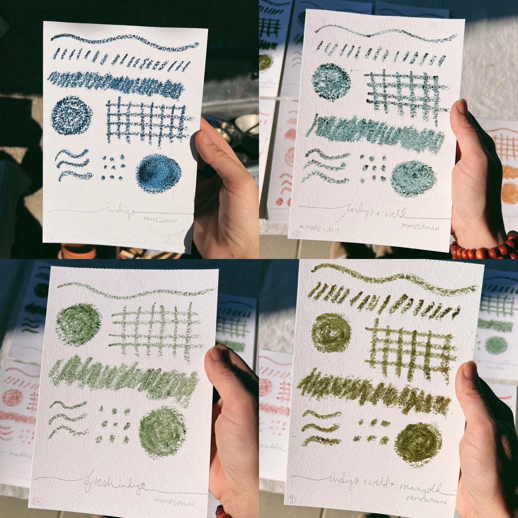 41BE8AAB-BBA6-45EE-A488-AEF4B0F9CBB0 2.JPG