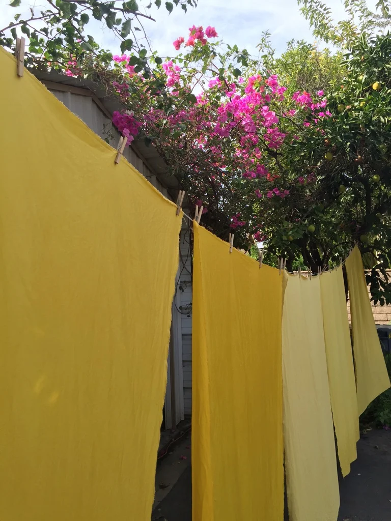 fustic dyed yardage for wol hide