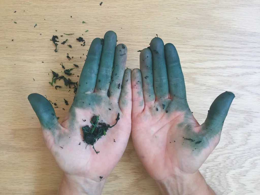 japanese indigo dyed hands