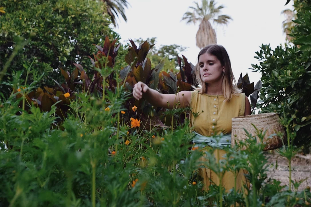 in the dye garden