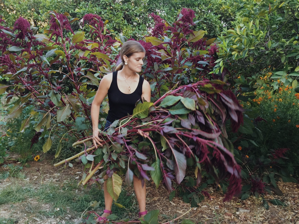 Naturally Dyeing Wood Tutorial — the dogwood dyer